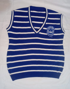 Zeta Striped V-Neck Vest