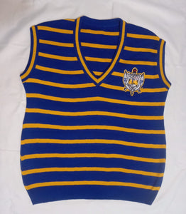 SGRHO Striped V-Neck Vest